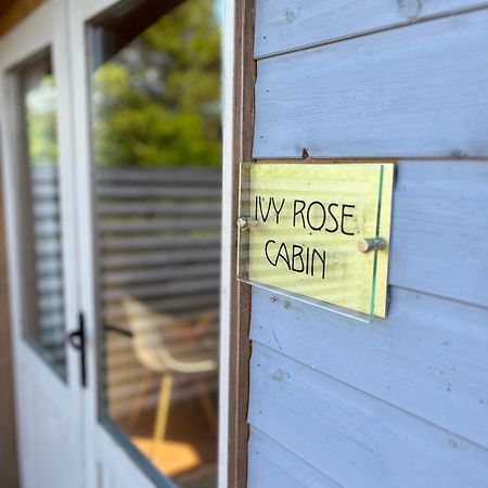 Ivy Rose Cabin No Hot Tub Bude Exteriér fotografie